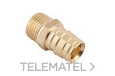 FS PEX RACOR FIJO MACHO RF 20-1/2"