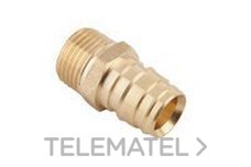 FS PEX RACOR FIJO MACHO RF 20-3/4"